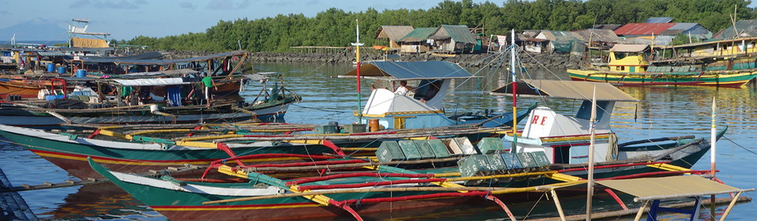Gestion des p&ecirc;ches