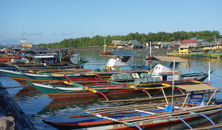 Gestion des p&ecirc;ches